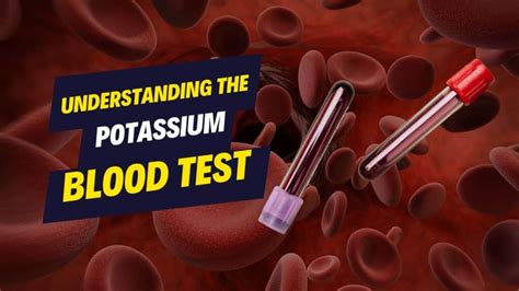 k lab range|Potassium Blood Test .